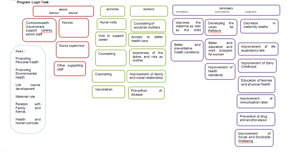program logic task